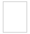 8.25" x 10.75" Standard  Labels - White Uncoated Matte Paper with Permanent Adhesive