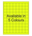 1" x 1" Fluorescent Square Labels - Neon Bright Matte Paper with Permanent Adhesive, Available in 5 Colours