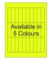 0.75" x 3" Fluorescent  Labels - Neon Bright Matte Paper with Permanent Adhesive, Available in 5 Colours