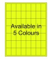 1" x 1.5" Fluorescent  Labels - Neon Bright Matte Paper with Permanent Adhesive, Available in 5 Colours