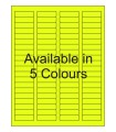 1.75" x 0.5" Fluorescent Return Address Labels - Neon Bright Matte Paper with Permanent Adhesive, Available in 5 Colours