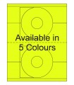 4.5" with 1.625" Hole Fluorescent CD/DVD Labels - Neon Bright Matte Paper with Permanent Adhesive, Available in 5 Colours