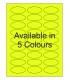 2.25" x 1" Fluorescent label template. Available in 5 colours.