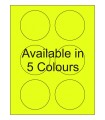 3" Fluorescent Round Labels - Neon Bright Matte Paper with Permanent Adhesive, Available in 5 Colours