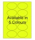 3" x 2" Fluorescent label template. Available in 5 colours.