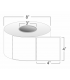 4" x 4" Standard Direct Thermal Labels on 3" Core, Perforations, Wound Out, Permanent Adhesive
